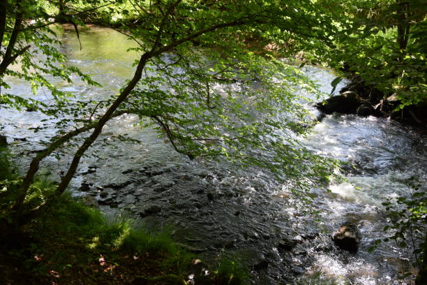istock Nister, a river at Westerwald, Germany 1028249598