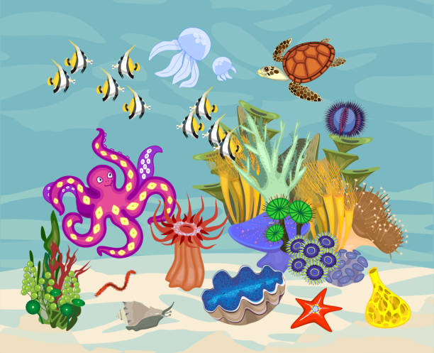 istock Ecosystem of coral reef with different marine inhabitants 1028249910