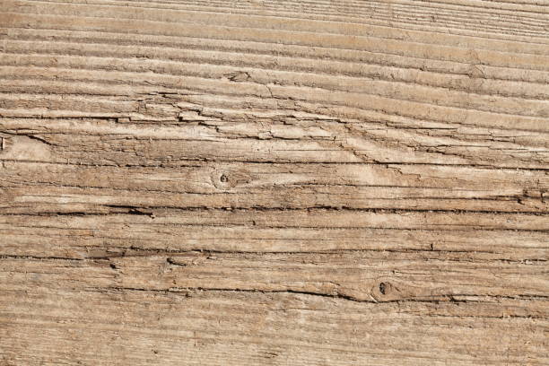 istock Brown old wooden beam, background 1028250102