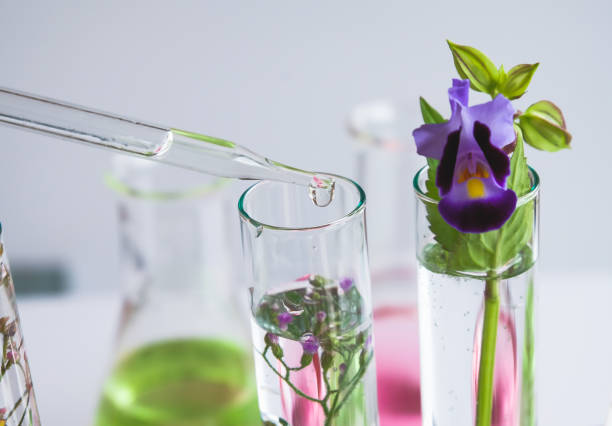 istock pipette dropping above test tube on sample chemical into herbal plants , bio technology medicine research concept. 1028250720