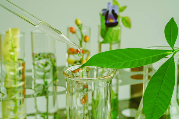 istock pipette dropping above test tube on sample chemical into herbal plants , bio technology medicine research concept. 1028250902