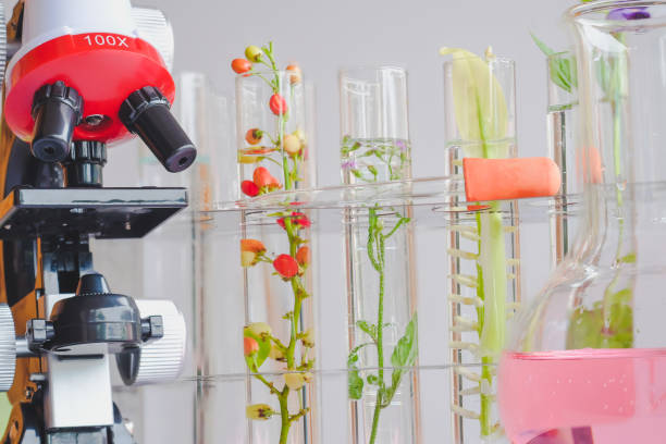 istock microscope and small plant in test tube , lab biotechnology concept. 1028251072