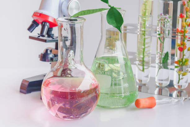 istock microscope and small plant in test tube , lab biotechnology concept. 1028251084