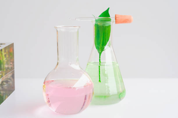 istock Laboratory glassware or test tube . 1028251120