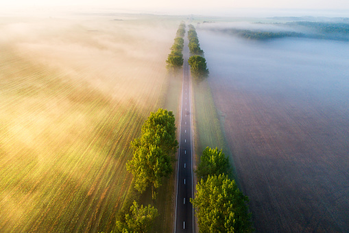 Straight road in  the morning view from above. Transportation background. Beautiful aerial landscape with road in colorful fog. Misty autumn nature.