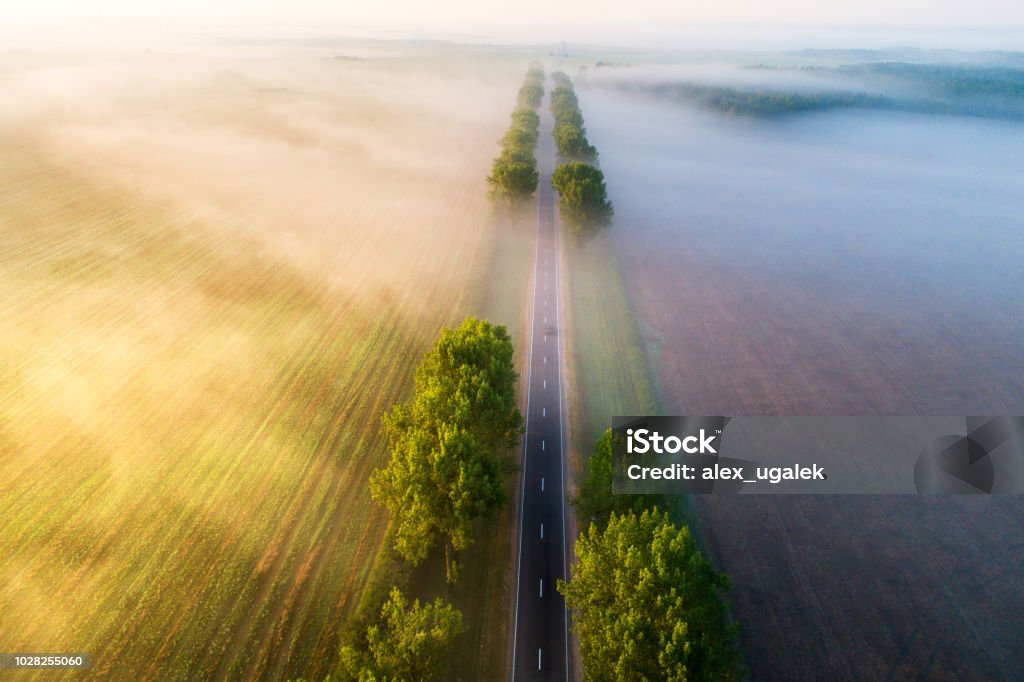 Road in  the morning Straight road in  the morning view from above. Transportation background. Beautiful aerial landscape with road in colorful fog. Misty autumn nature. Road Stock Photo