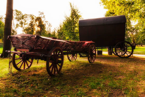 Two Chuck Wagons in the Garden Two Chuck Wagons in Wilanow Garden chuck wagon stock pictures, royalty-free photos & images