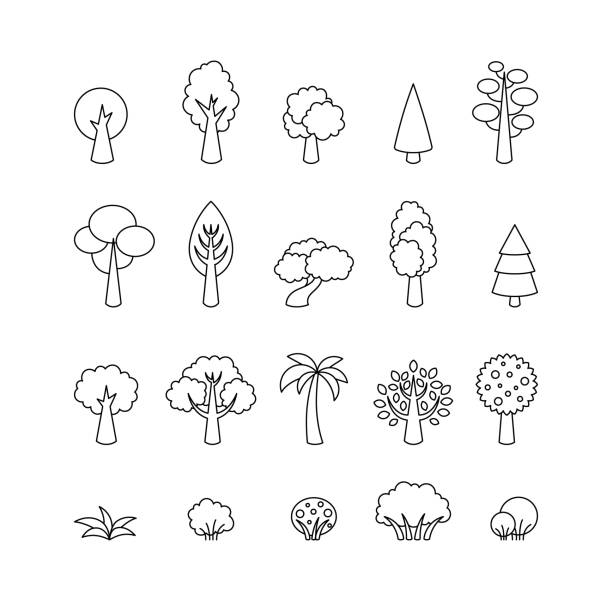 Collection of vector tree icons. Template for logo, web design, advertising Collection of vector tree icons. Template for logo, web design, advertising hardwood stock illustrations