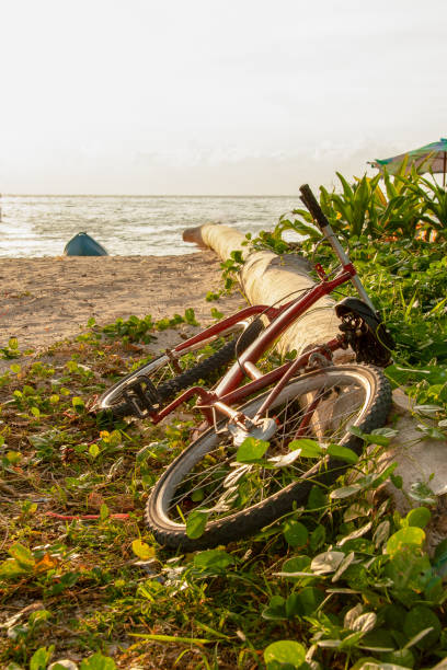 istock Bicycle parking on the beach in evening 1028255960