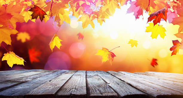 istock Autumn Colorful Background With Leaves In Sunlight 1028256566