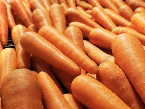 A crunchy, fresh and healthy bunch of bright-orange, large carrots, being sold in a local market.