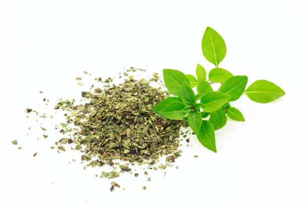 istock Close-up of origanum on white background 1028267740