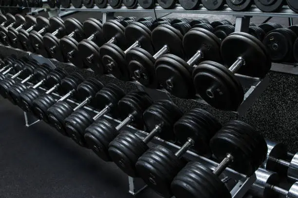 Various dumbbells in gym