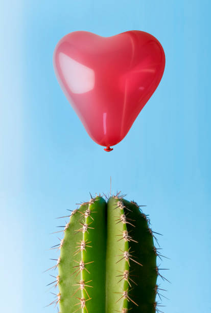 하트 풍선 선인장 스파이크 위에 떠 - cactus thorns 뉴스 사진 이미지