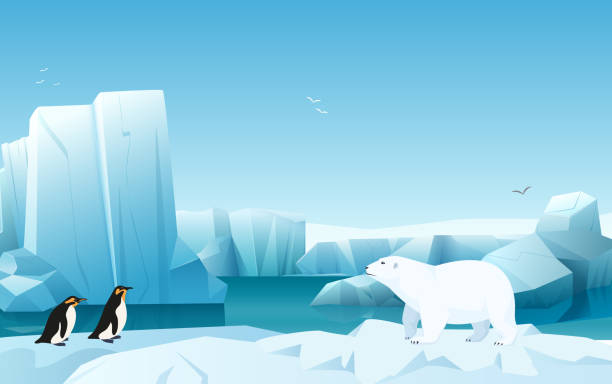 мультфильм природы зимний арктический ледовый пейзаж с айсбергом, холмы снежных гор. белый медведь и пингвины. иллюстрация стиля игры vector. - mountain peak vector frost glacier stock illustrations