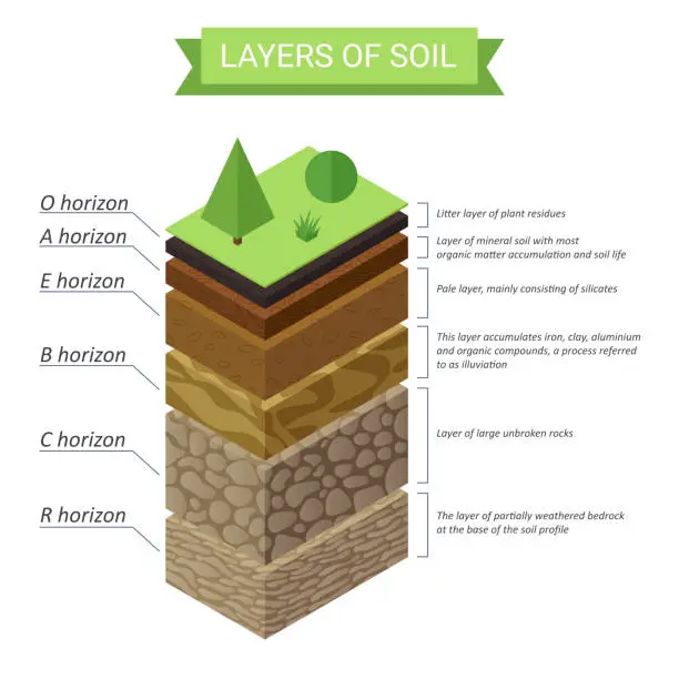 Vector illustration of Vector Soil Layers isometric diagram. Underground soil layers diagram.