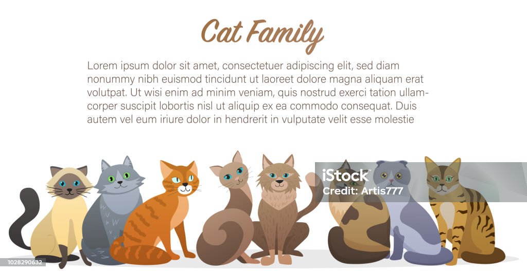 Vetores de Desenhos Animados Bonitos Gatos Família Mancha Juntos Frente Ver  Os Amigo Do Animal De Estimação Gato e mais imagens de Gato doméstico -  iStock