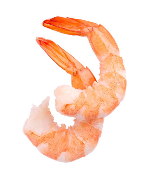istock Two red cooked prawn or tiger shrimp isolated on white background 1028291348