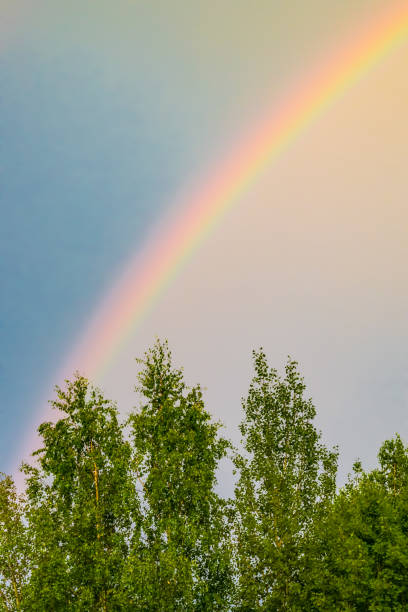 Rainbow View in Energy Flow at Sunset, Neon Data Streams
