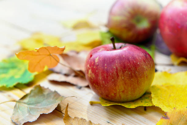 istock fresh apples on autumnal leaves 1028291858