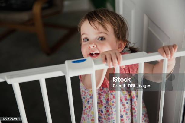 Standing At The Saftey Gate - Fotografias de stock e mais imagens de À Prova de Criança - À Prova de Criança, Bebé, Portão para Bebês