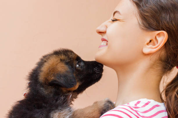 4,747 Mating People Stock Photos, Pictures & Royalty-Free Images - iStock 4,747 Mating People Stock Photos, Pictures & Royalty-Free Images - iStock