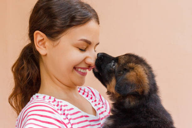 True friendship between girl and puppy who is giving a kiss True friendship between girl and puppy who is giving a kiss. licking nose stock pictures, royalty-free photos & images