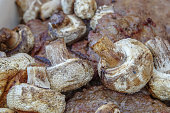 gegrillte-champignons-und-hackfleisch.jpg?b=1&s=170x170&k=20&c=9cmRgKZ6NHqNZZ_v0DKaROPgH9mjQ4yaVaEdUvJx2wg=