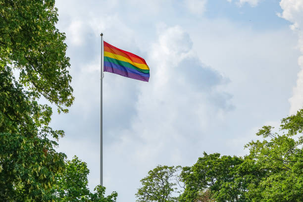 istock Rainbow gay pride flag in green landscape 1028305260