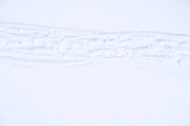 Walkway Covered In Snow  And Footprints