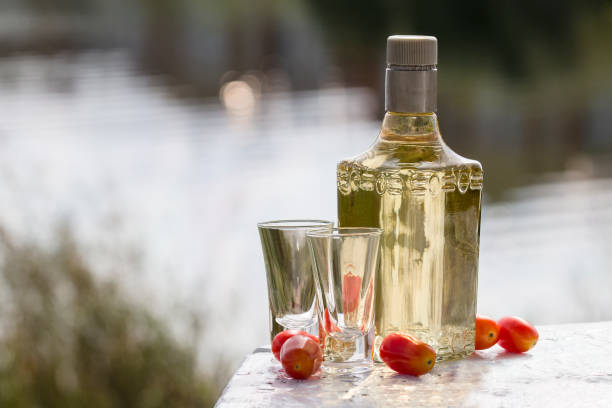 botella de tequila con dos vasos y tomates cherry sobre la mesa cerca del lago - gin decanter whisky bottle fotografías e imágenes de stock