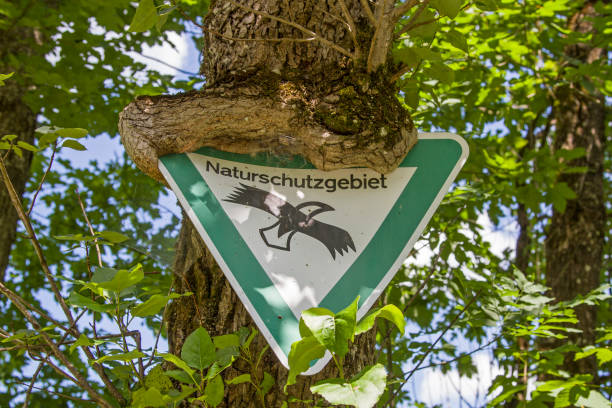 Old nature protection sign grown in tree in the bog area of the Ammerquellen near Obberammergau