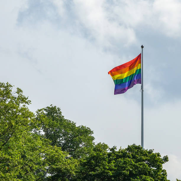 istock Rainbow gay pride flag in green landscape 1028314916