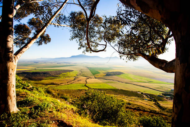 Panoramic scenic view of springtime farms in South Africa stock photo