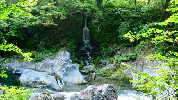 istock Japanese landscape near Nikko 1028319780