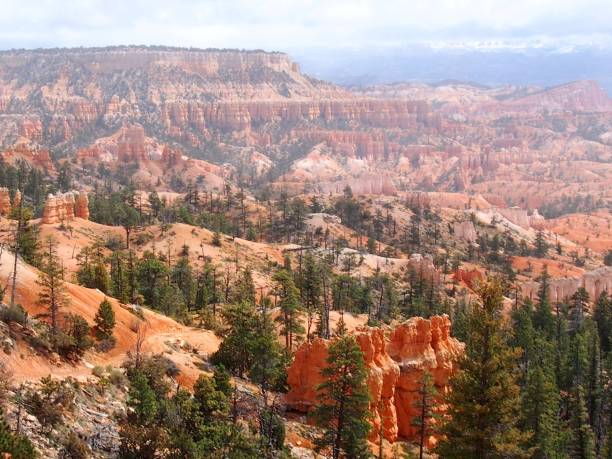 istock Bryce Canyon, Sunrise Point, Utah 1028323150