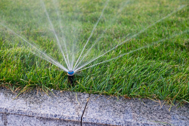 istock Installation modern garden irrigation system watering lawn 1028323848