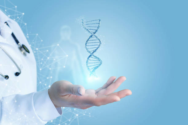 Hand showing dna . Doctor Hand showing dna . Concept of research and testing. genetic research stock pictures, royalty-free photos & images