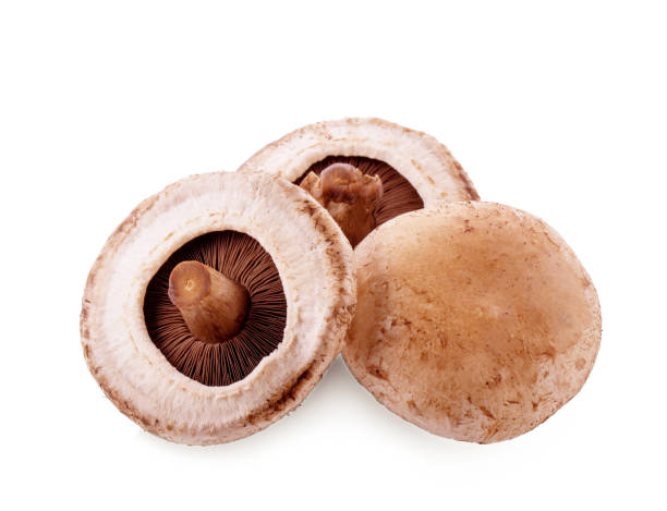 istock Three portobello mushrooms, isolated on white background. 1028348040