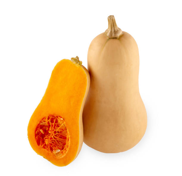 istock Fresh butternut squash isolated on a white background 1028348324