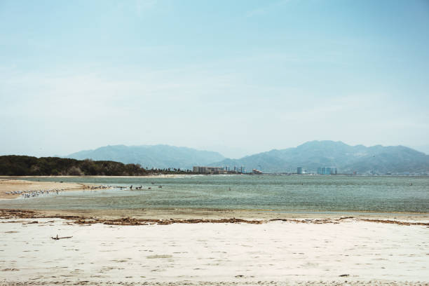 istock beautiful beach view with birds 1028351260