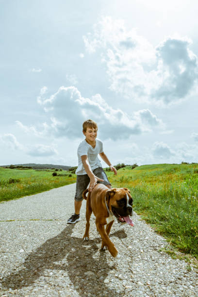 istock Boy with His Dog Outdoors 1028352000