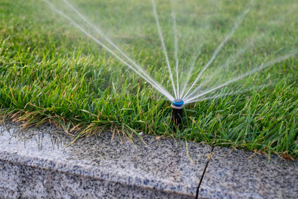 istock Modern garden irrigation system watering lawn. 1028352152