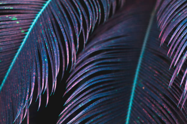 istock Tropical palm leaves in violet color; abstract floral pattern background 1028359384