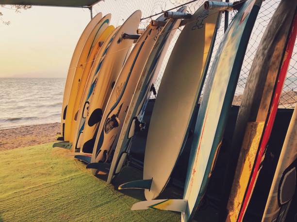 istock Surfboards leaning near the sea 1028360044