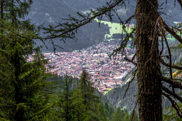 istock Aerial view of Predazzo 1028360890