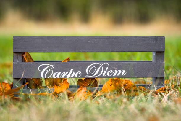 istock Wooden box with the phrase Carpe Diem 1028363504