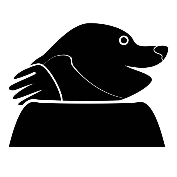 Mole black color icon  Flat style Simple illustration for garden craft Mole black color icon  Flat style it is simple illustration mole animal stock illustrations