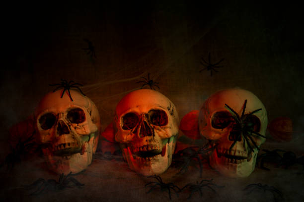 scull and spiders as halloween decoration