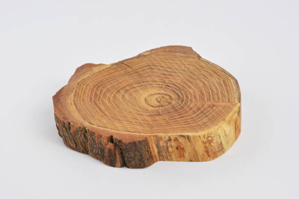istock Wooden cross section 1028375848